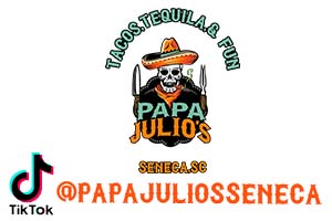 Papa Julios